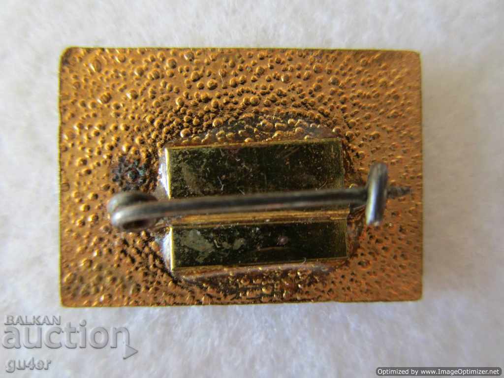 Auction ❌❌VEA badge 1907 - 1967 bronze, enamel, gilt-ORIGINAL-RR❌❌ Auction ❌❌VEA badge 1907 - 1967 bronze, enamel, gilt-ORIGINAL-RR❌❌