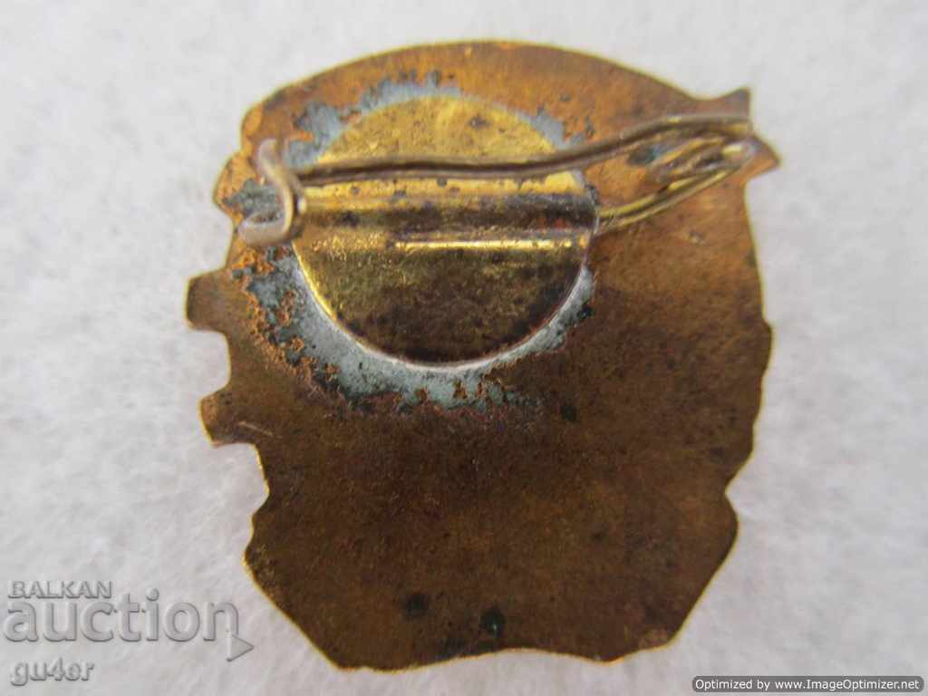 Licitație ❌❌❌❌ Insigna, bronz, email, aurit, ORIGINAL❌❌❌❌ Licitație ❌❌❌❌ Insigna, bronz, email, aurit, ORIGINAL❌❌❌❌