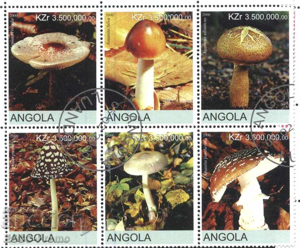 Клеймовани марки Флора Гъби  2000 от Ангола