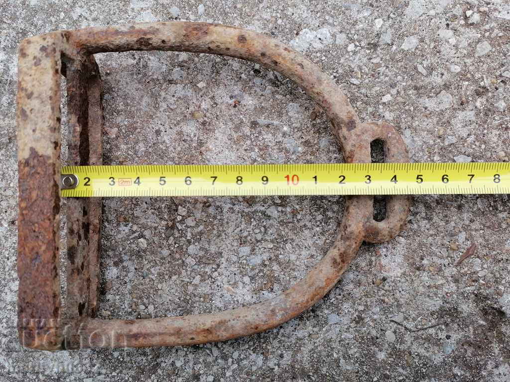 Delivery of Strive for a cavalry horse Delivery of Strive for a cavalry horse