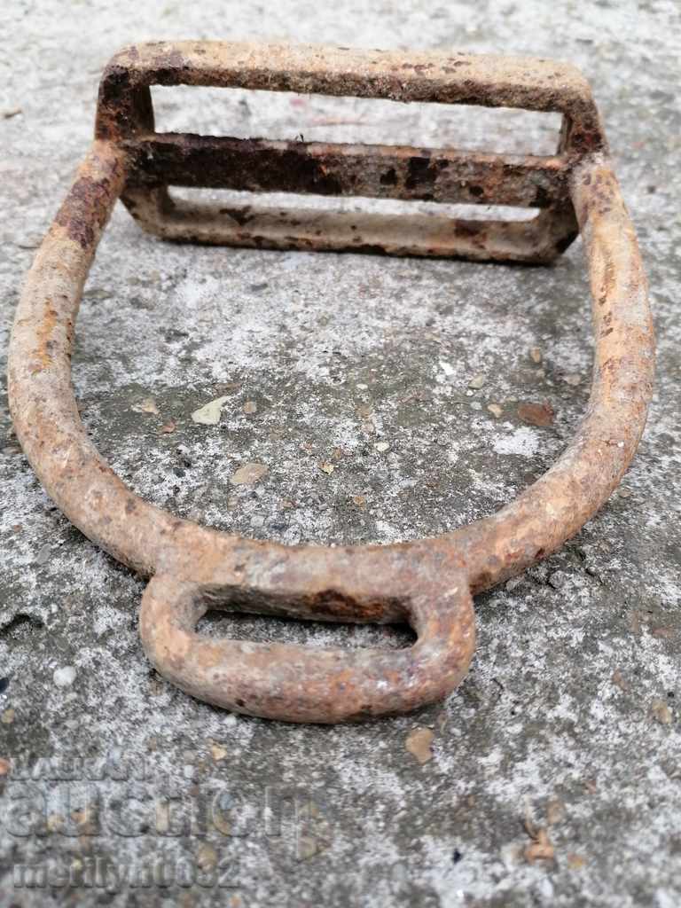 Strive for a cavalry horse - 6 Strive for a cavalry horse - 6