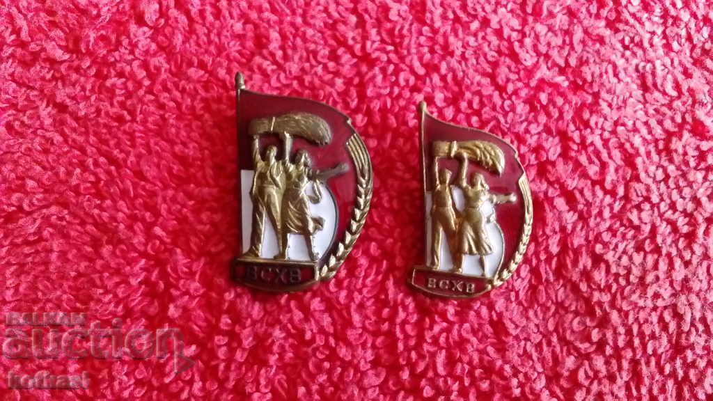 Delivery of Lot bronze enamel badges insignia VSHV USSR excellent Delivery of Lot bronze enamel badges insignia VSHV USSR excellent