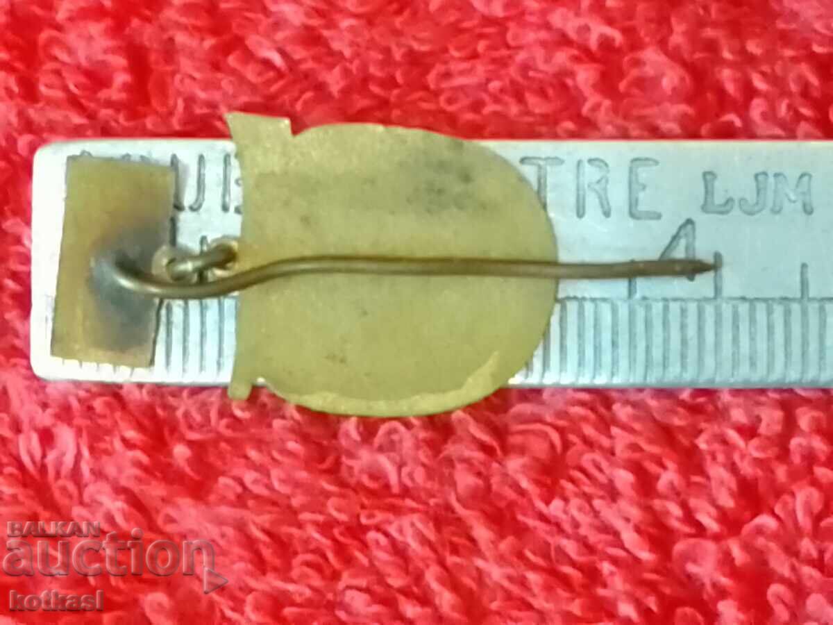 Vintage Enamel Pin "Pioneering Labor for the Motherland" Excellent with price 35.50 BGN | € 18.15