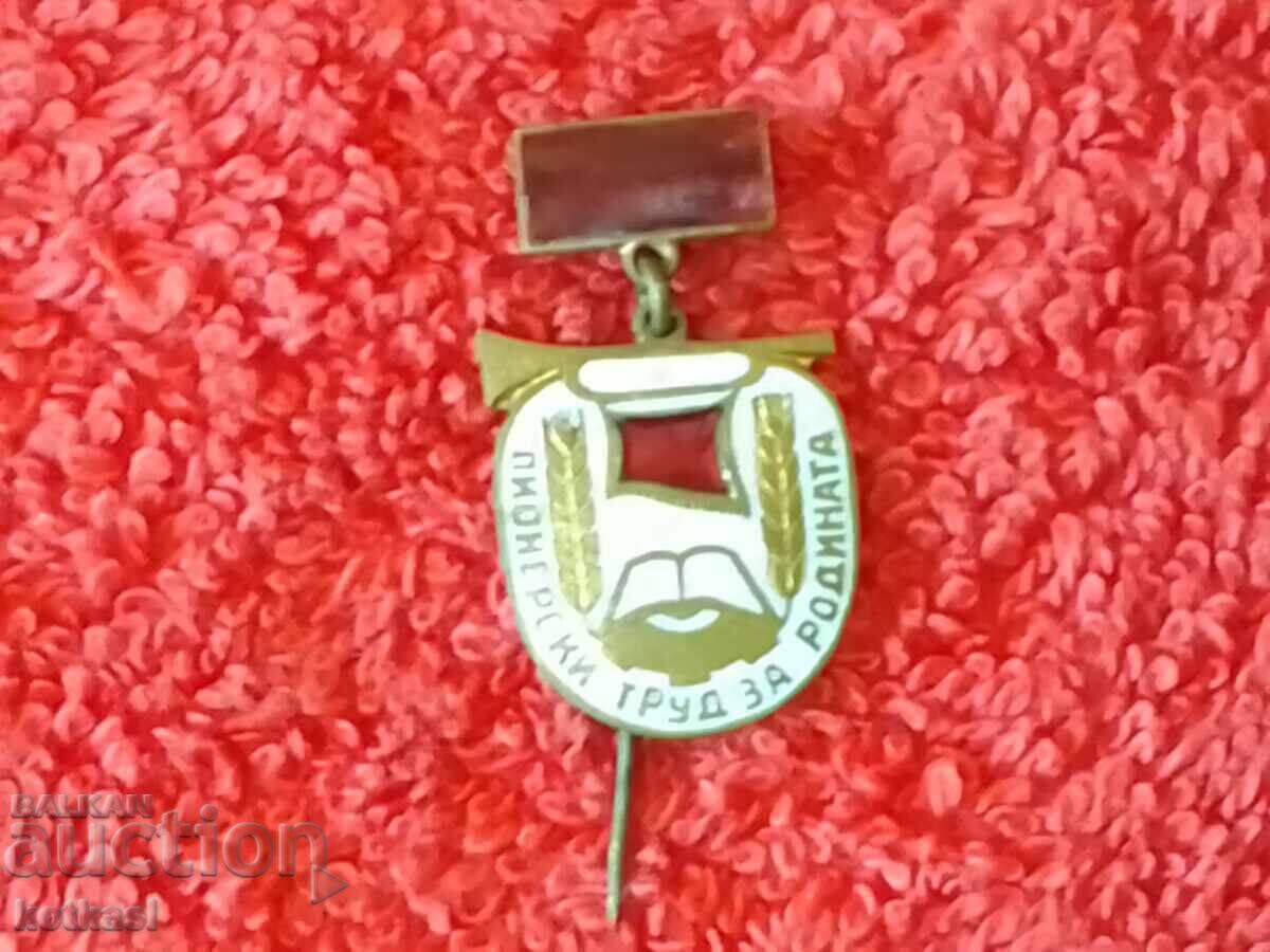 Auction  Vintage Enamel Pin "Pioneering Labor for the Motherland" Excellent
