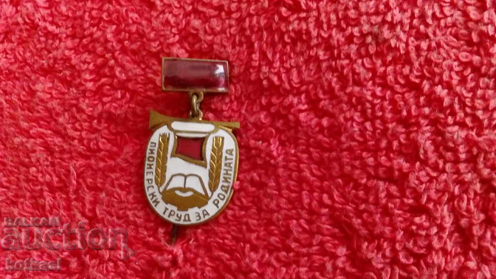 Delivery of Vintage Enamel Pin "Pioneering Labor for the Motherland" Excellent