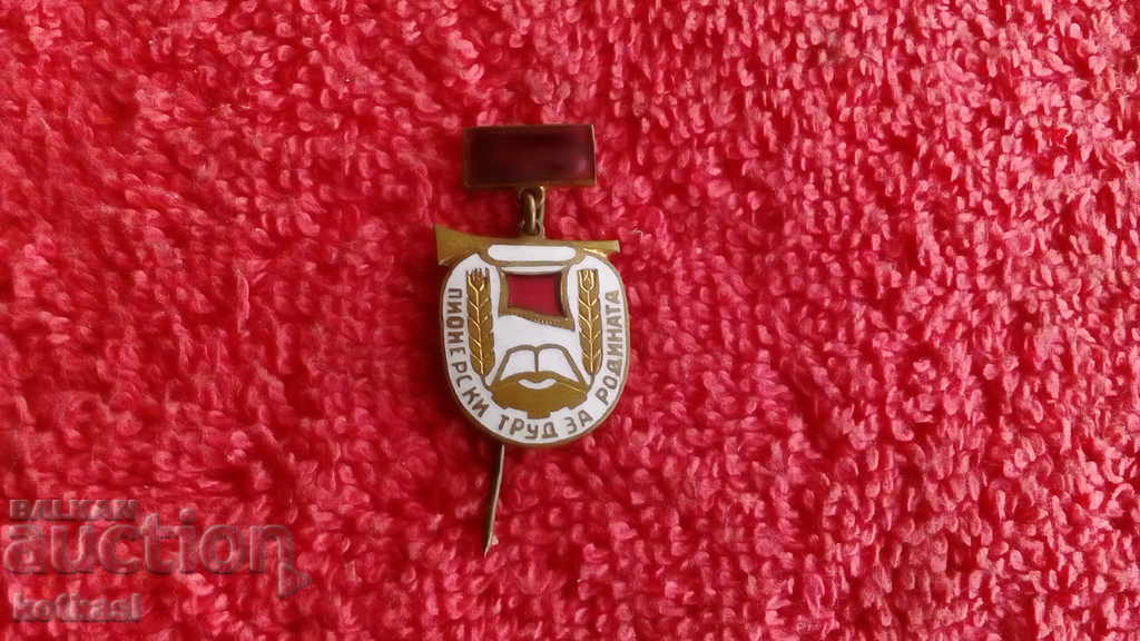 Vintage Enamel Pin "Pioneering Labor for the Motherland" Excellent - 5