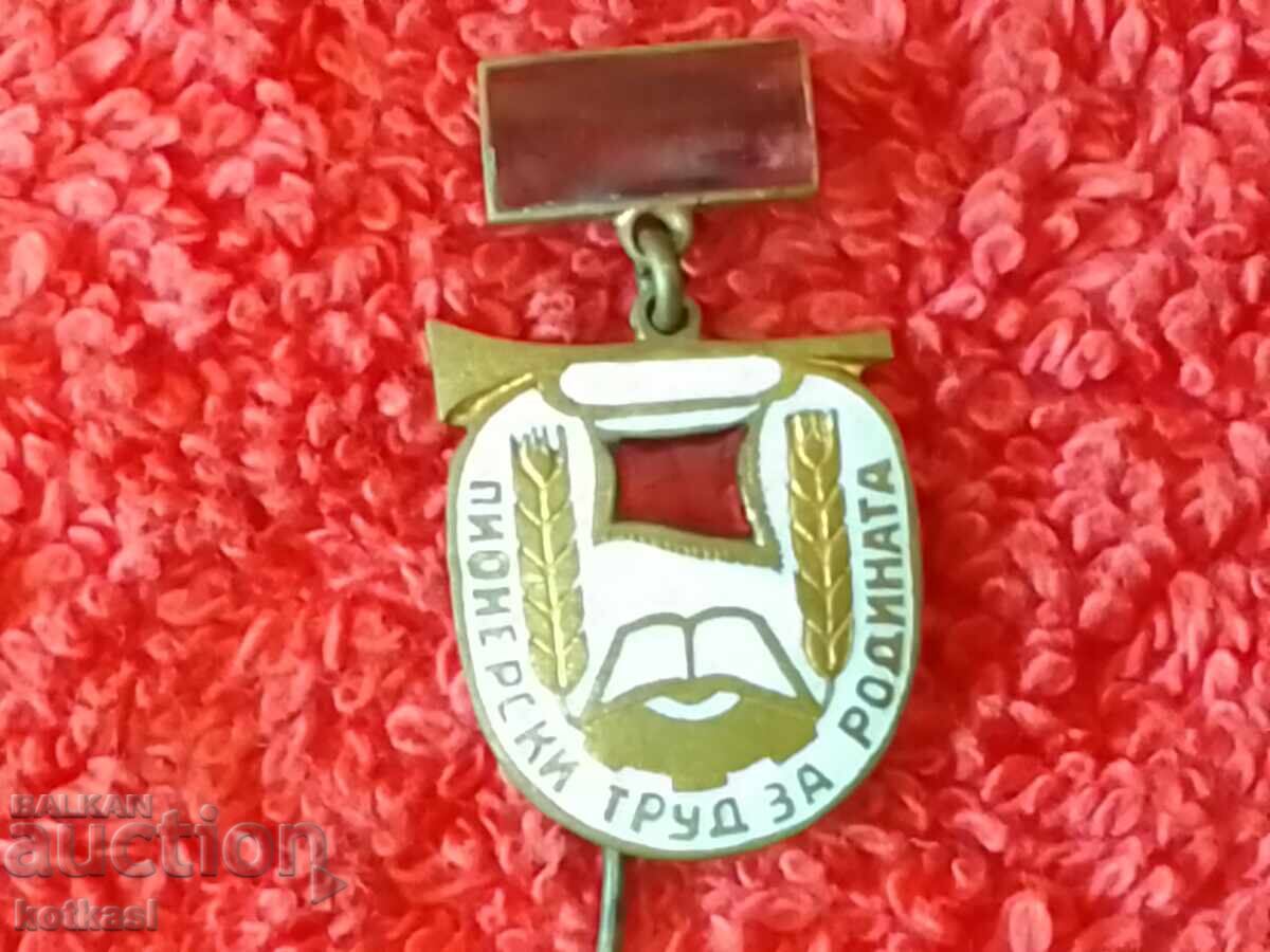 Vintage Enamel Pin "Pioneering Labor for the Motherland" Excellent - 6