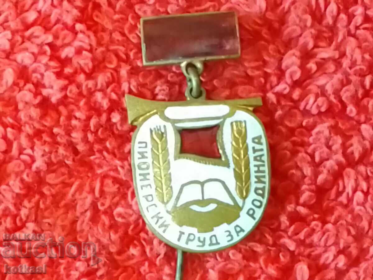 Αστέρι σήμα καρφίτσα σμάλτο ΠΙΟΝΕΡΙΚΗ ΕΡΓΑΣΙΑ ΓΙΑ ΤΗΝ ΠΑΤΡΙΔΑ άριστη - 6 Αστέρι σήμα καρφίτσα σμάλτο ΠΙΟΝΕΡΙΚΗ ΕΡΓΑΣΙΑ ΓΙΑ ΤΗΝ ΠΑΤΡΙΔΑ άριστη - 6