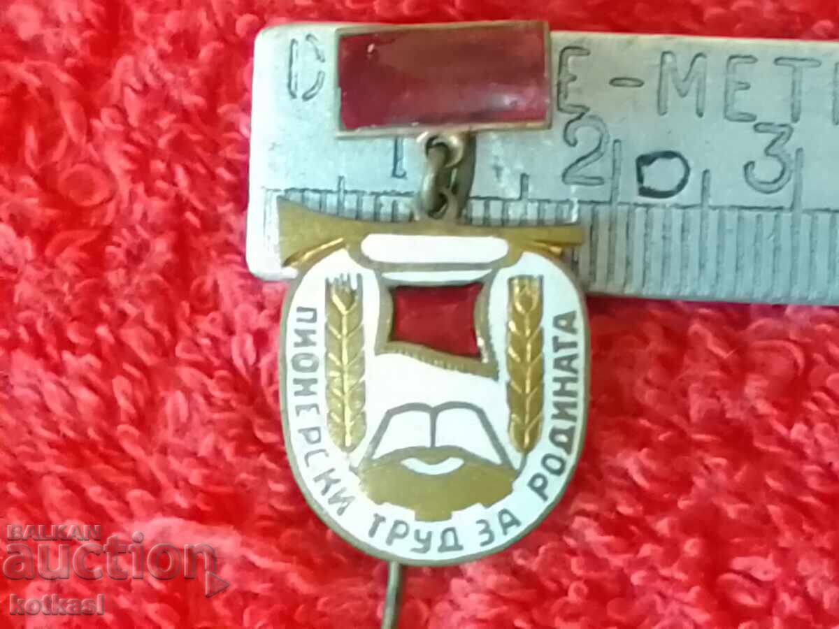 Vintage Enamel Pin "Pioneering Labor for the Motherland" Excellent