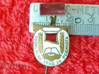 Semn distinctiv ac de email PIONIERI PENTRU PATRIE excelent