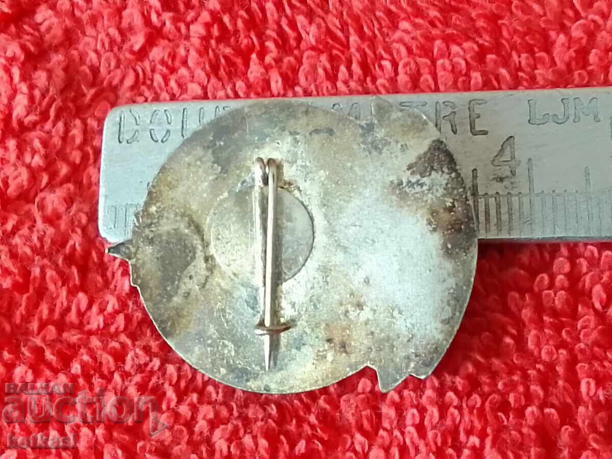 Star Sign bronze enamel Hungary Debrecen with price 25.50 BGN | € 13.04 Star Sign bronze enamel Hungary Debrecen with price 25.50 BGN | € 13.04