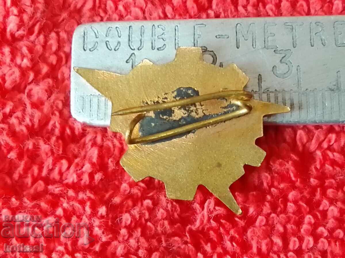 Old Soviet badge Young Technician bronze enamel with price 21.00 BGN | € 10.74