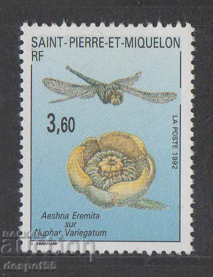 1992. Saint Pierre și Miquelon. Plante și insecte.