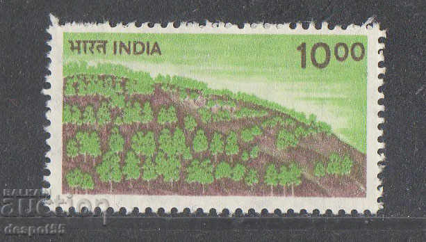 1984. India. Împădurire.