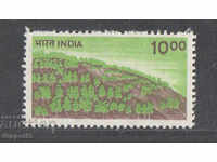 1984. Индия. Залесяване.