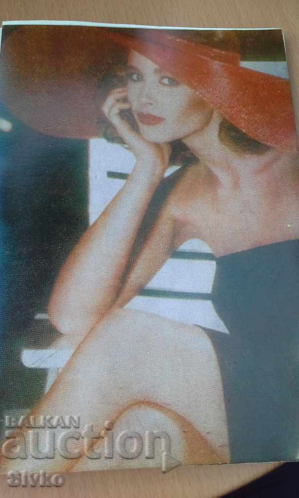 Auction  The charming dictator Kaleidoscope of fashion