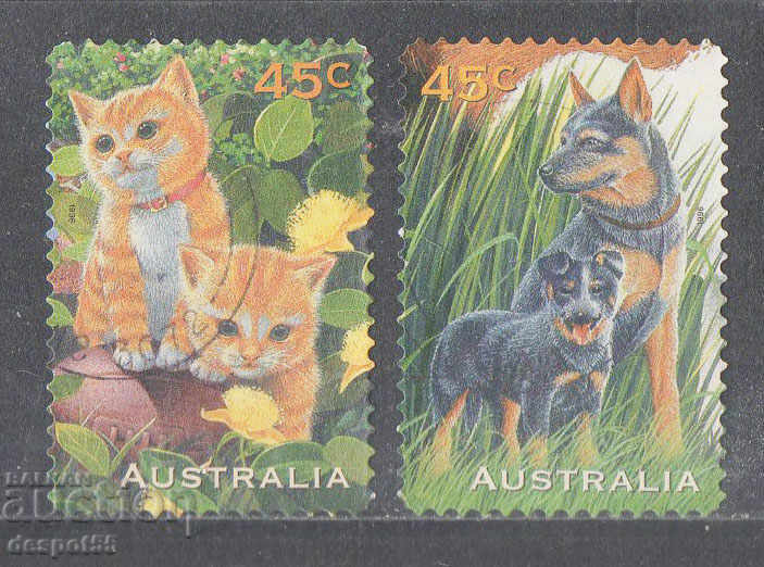 1996. Australia. Pets.