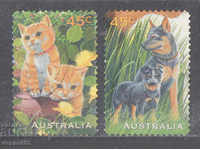 1996. Australia. Animale de companie.