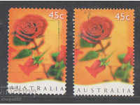1997. Australia. Sfântul Valentin.