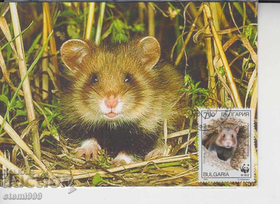 Καρτ ποστάλ FDC Rodents Hamster