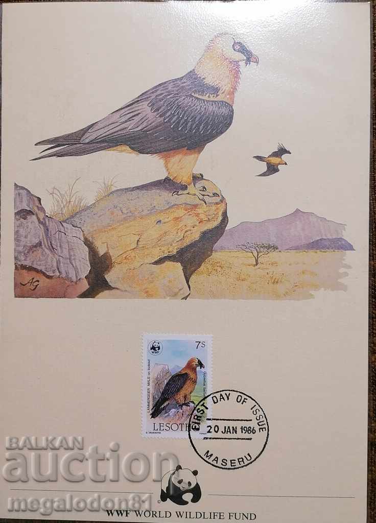 Λεσόθο - WWF, καρτ ποστάλ, γενειοφόρος αετός