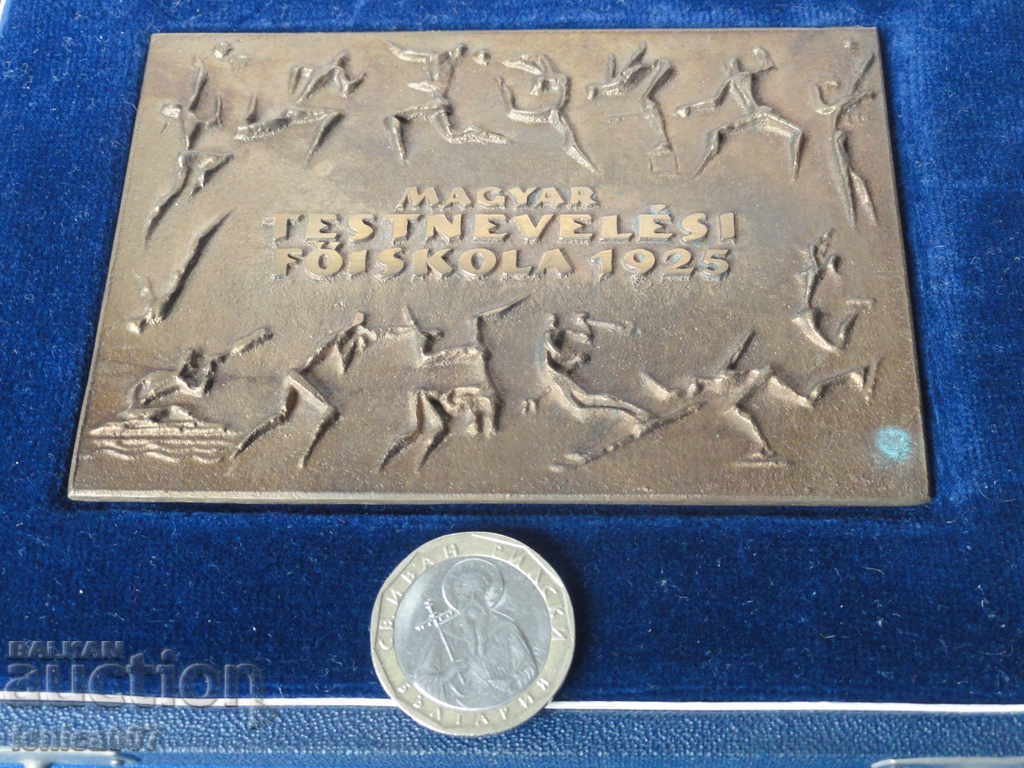 Hungary - Massive plaque in a box with price 22.00 BGN | € 11.25 Hungary - Massive plaque in a box with price 22.00 BGN | € 11.25