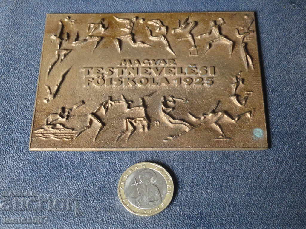 Auction Hungary - Massive plaque in a box Auction Hungary - Massive plaque in a box