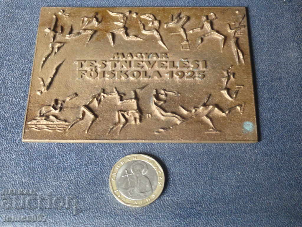 Delivery of Hungary - Massive plaque in a box Delivery of Hungary - Massive plaque in a box