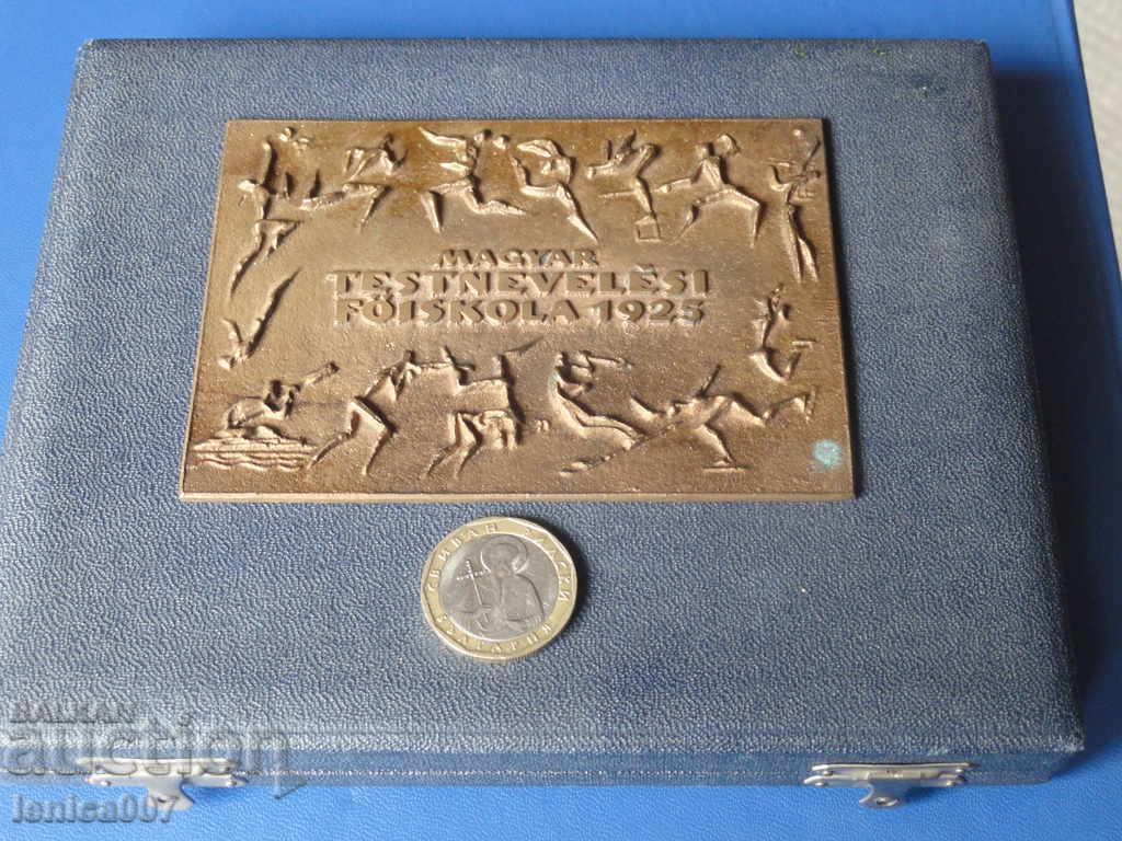 Hungary - Massive plaque in a box - 6 Hungary - Massive plaque in a box - 6
