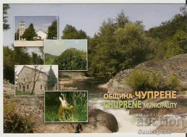 Card Bulgaria Chuprene Chuprene Municipality *