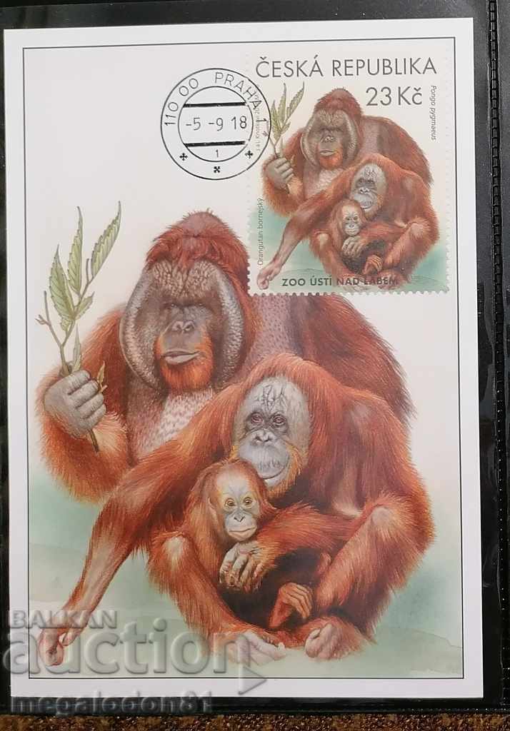 Czech Republic - zoo, fauna with price 15.00 BGN | € 7.67 Czech Republic - zoo, fauna with price 15.00 BGN | € 7.67