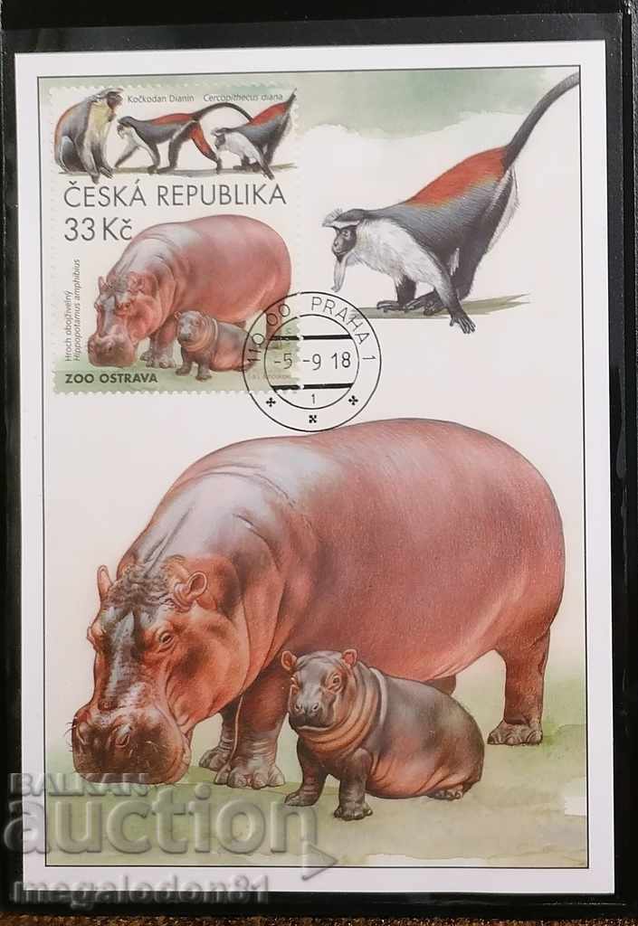 Delivery of Czech Republic - zoo, fauna Delivery of Czech Republic - zoo, fauna