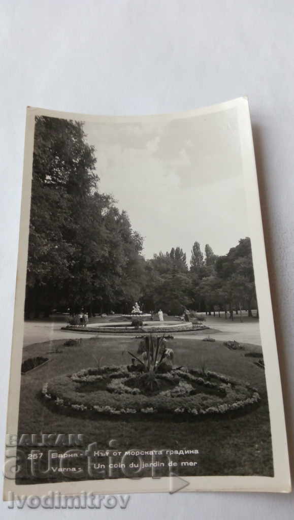 Postcard Varna Corner from the sea garden 1958