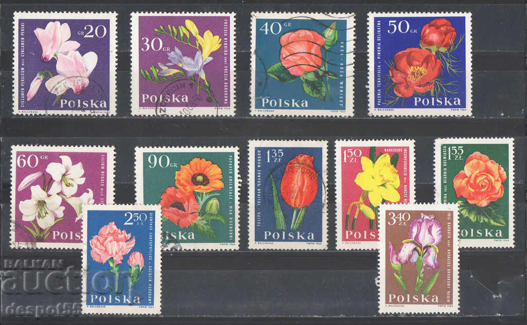 1964. Polonia. Flori de grădină.