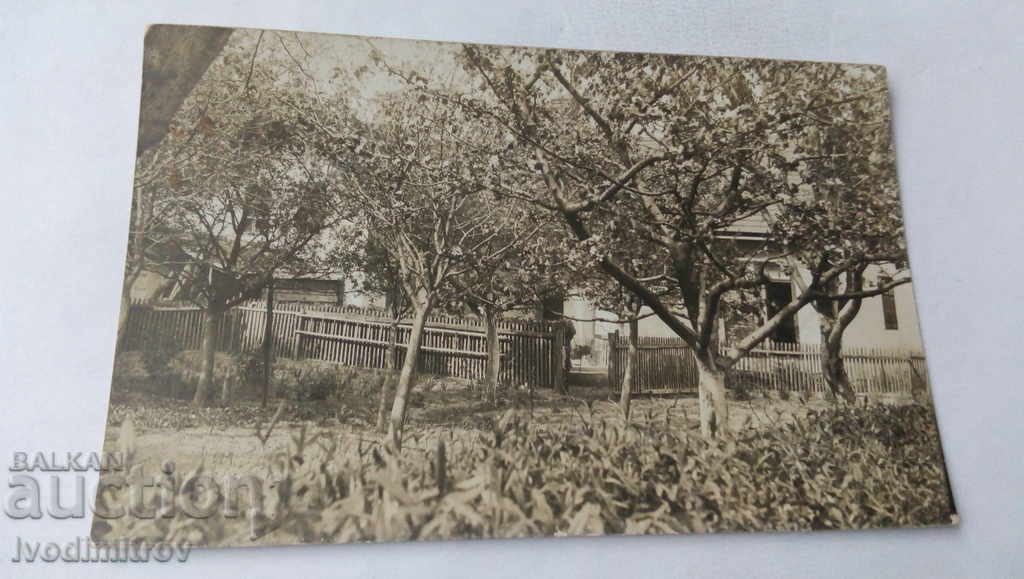 Пощенска картичка Цъфнала градина
