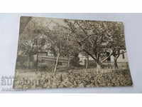 Ανθισμένος κήπος καρτ ποστάλ