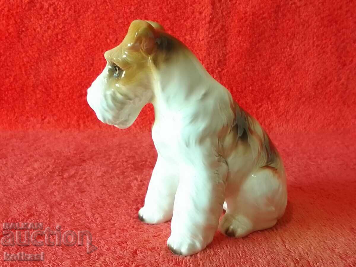 Old porcelain figure Dog Western Europe Welsh Terrier - 5 Old porcelain figure Dog Western Europe Welsh Terrier - 5