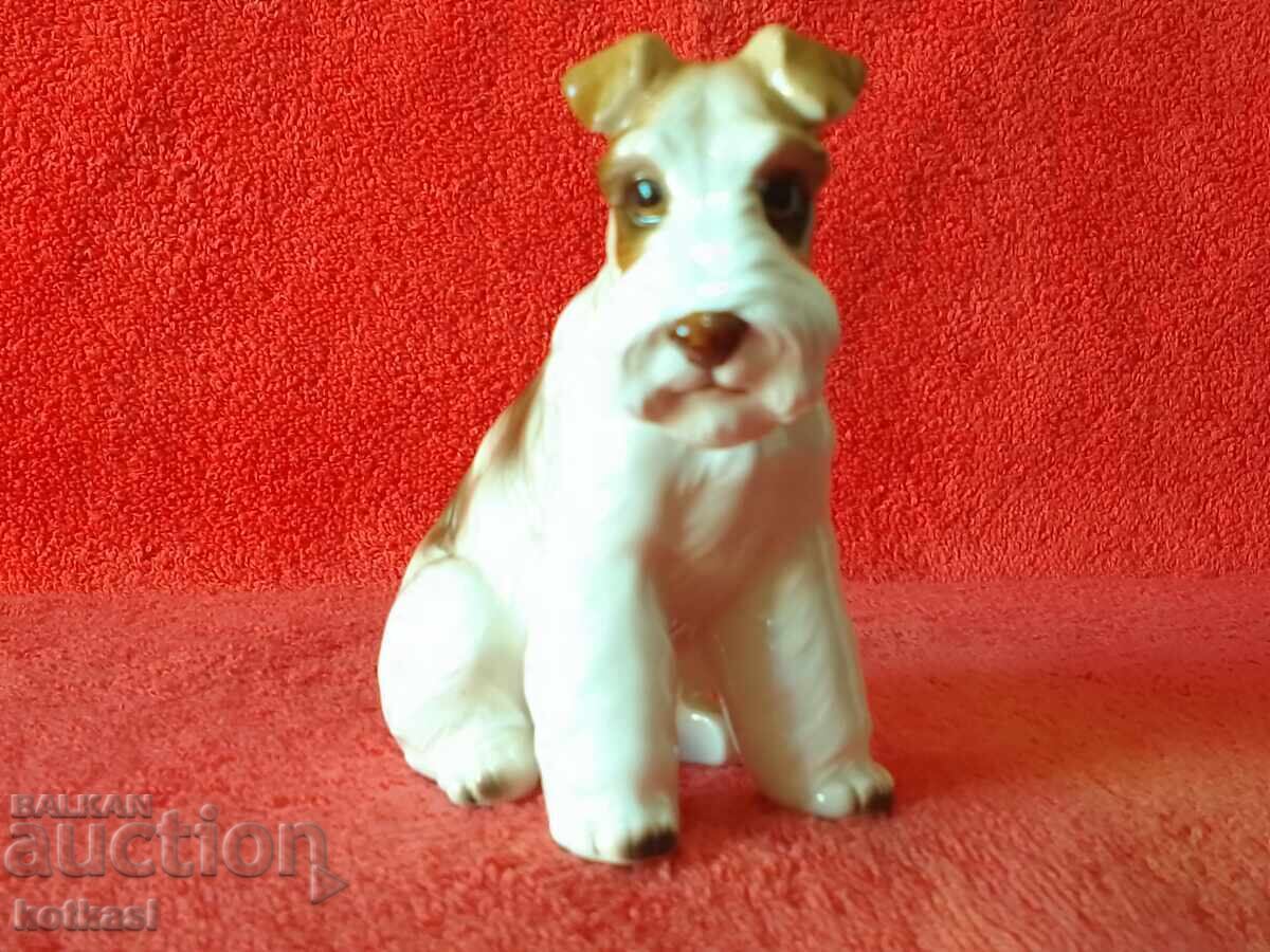 Old porcelain figure Dog Western Europe Welsh Terrier - 6 Old porcelain figure Dog Western Europe Welsh Terrier - 6
