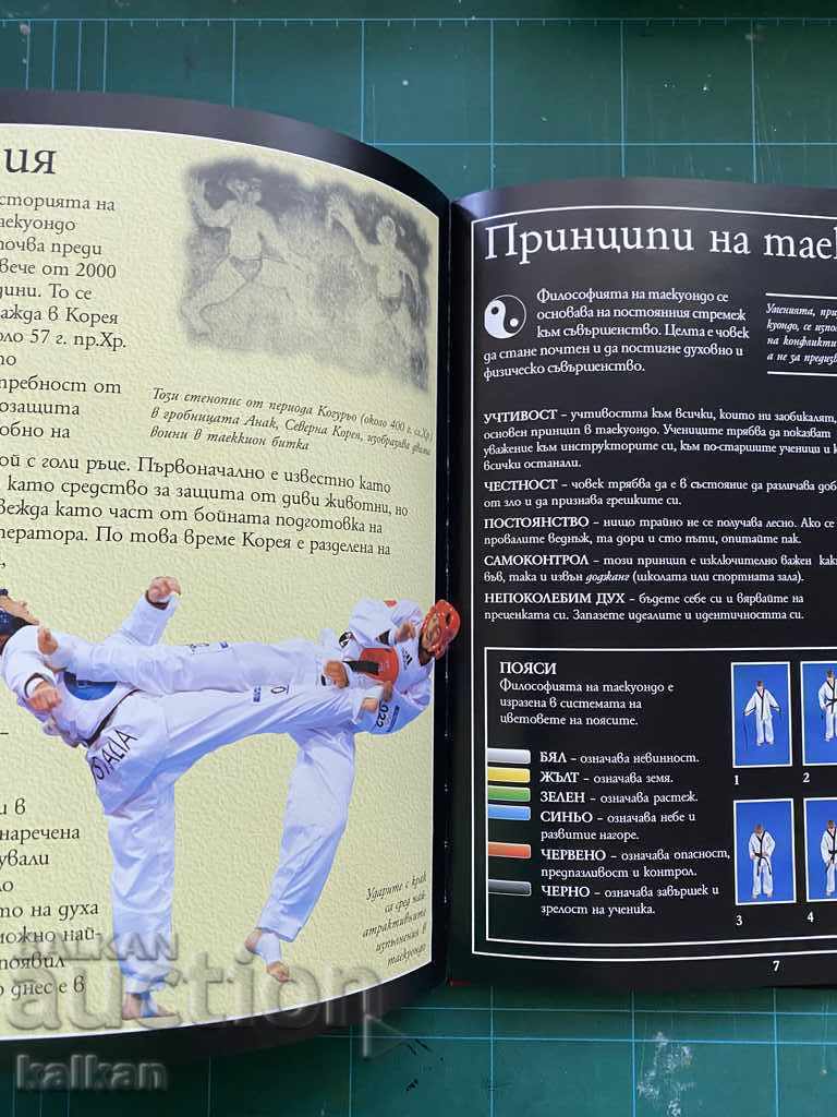 Taekwondo - a book, a textbook - 6 Taekwondo - a book, a textbook - 6