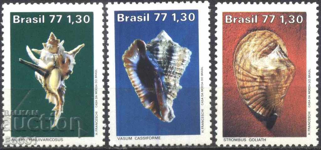 Чисти марки Фауна Раковини 1977 от Бразилия