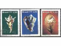Чисти марки Фауна Раковини 1977 от Бразилия