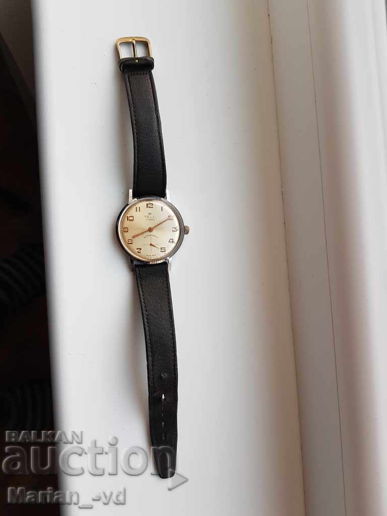 Δημοπρασία Ανδρικό ρολόι TELL 17 κοσμήματα Δημοπρασία Ανδρικό ρολόι TELL 17 κοσμήματα