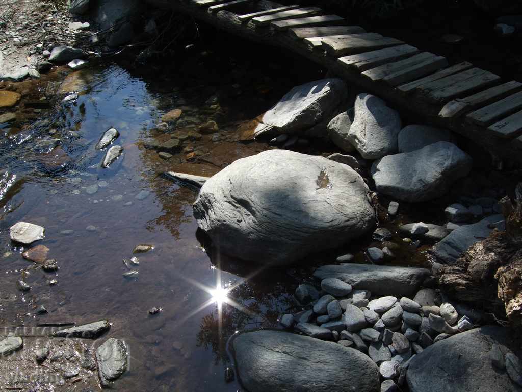 Auction  art photography - a plot of your choice