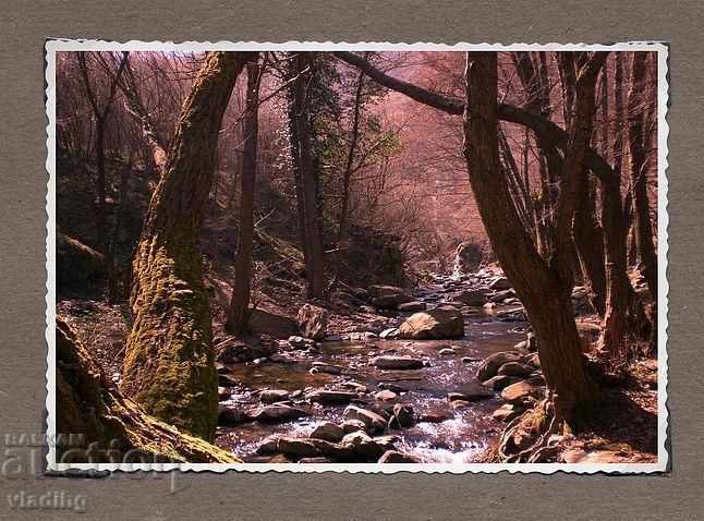 Delivery of art photography - a plot of your choice