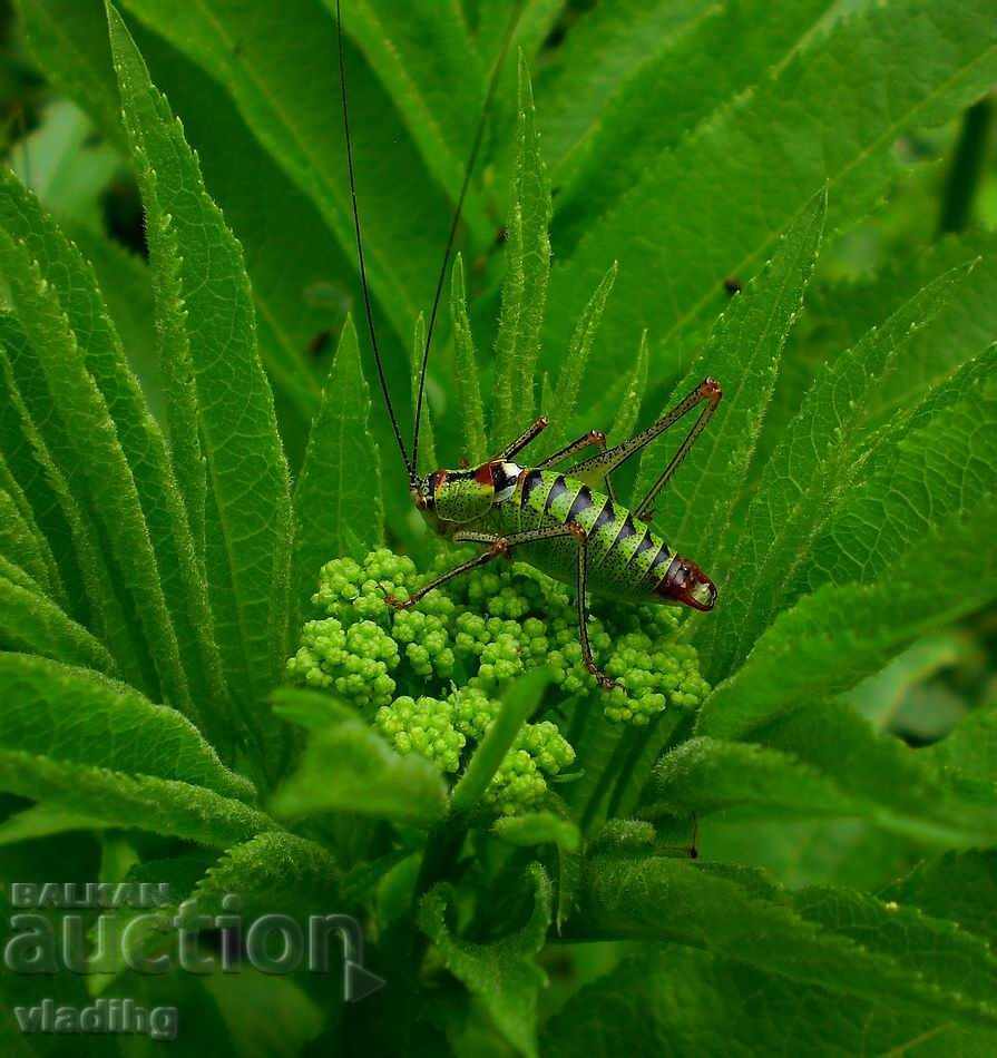 art photography - a plot of your choice - 5