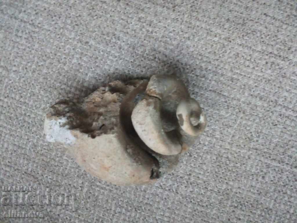 απολίθωμα με τιμή € 25.56 | 49.99 BGN