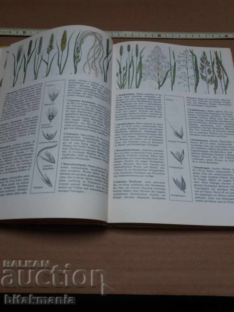Book for plants and animals - read the terms of the auction with price 12.99 BGN | € 6.64 Book for plants and animals - read the terms of the auction with price 12.99 BGN | € 6.64