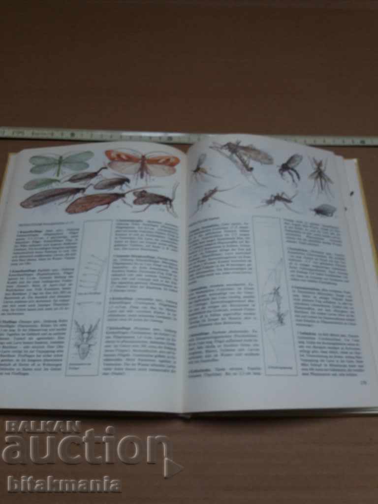 Auction Book for plants and animals - read the terms of the auction Auction Book for plants and animals - read the terms of the auction