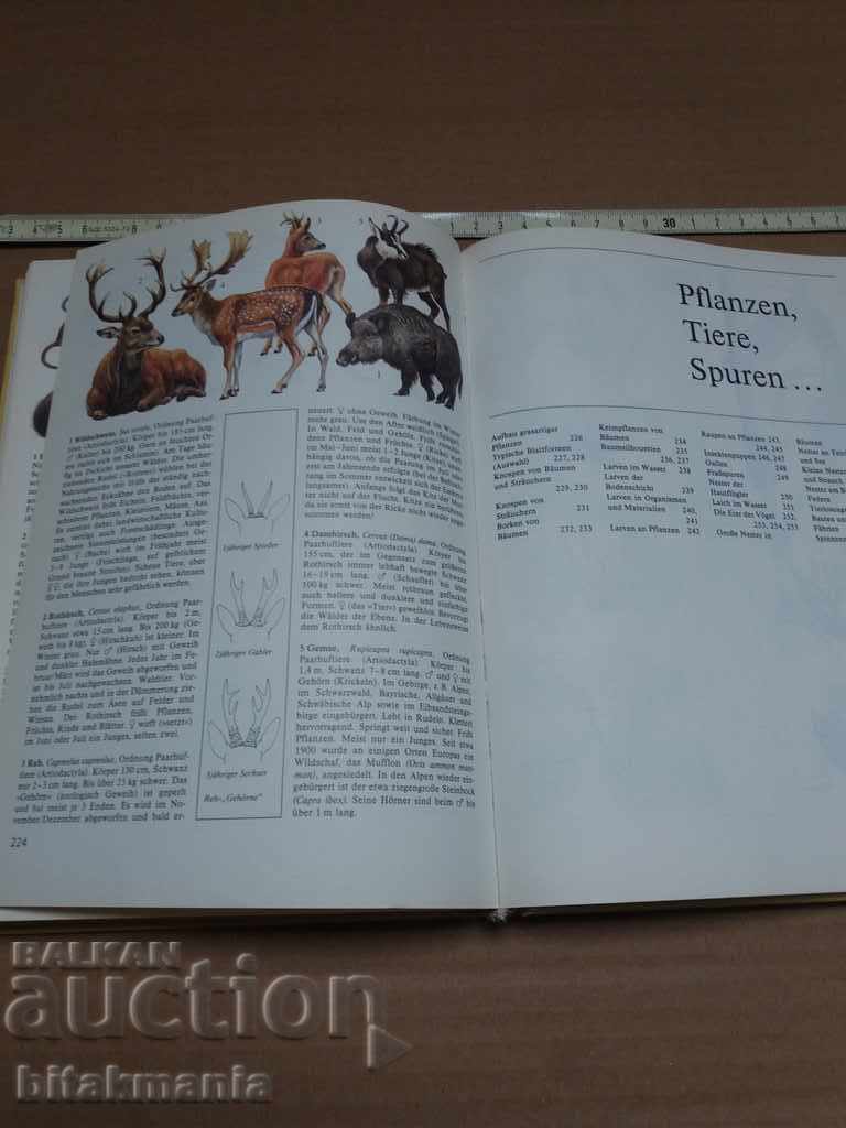 Book for plants and animals - read the terms of the auction - 5 Book for plants and animals - read the terms of the auction - 5