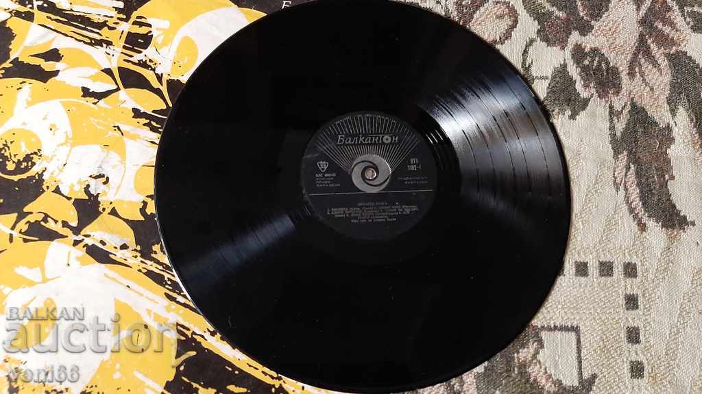 WTA 1182 Famous thong with price 1.50 BGN | € 0.77 WTA 1182 Famous thong with price 1.50 BGN | € 0.77